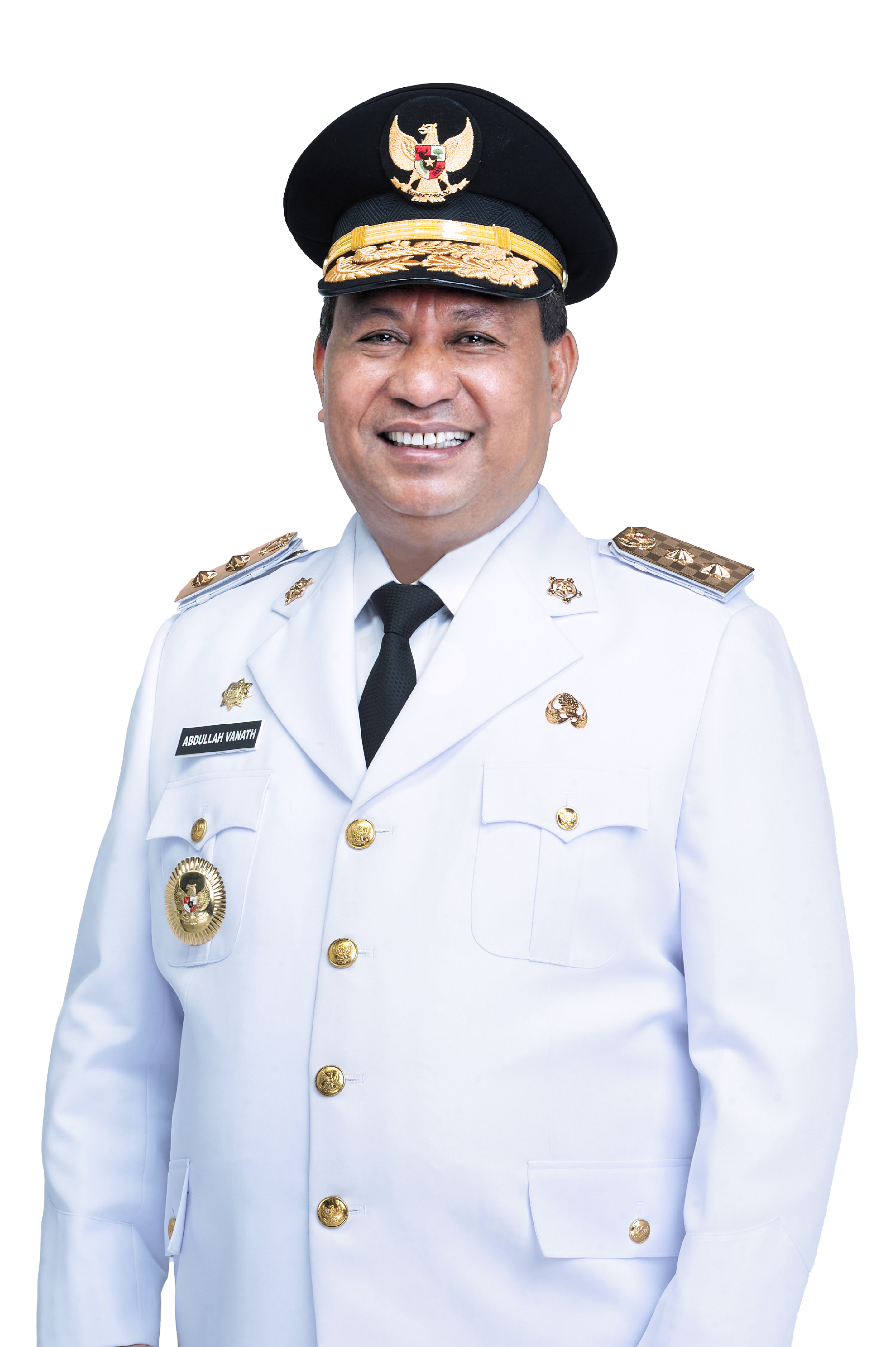 Wakil Gubernur Maluku